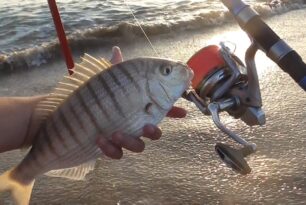 Pesca deportiva en Cabo de Gata para los amantes del mar